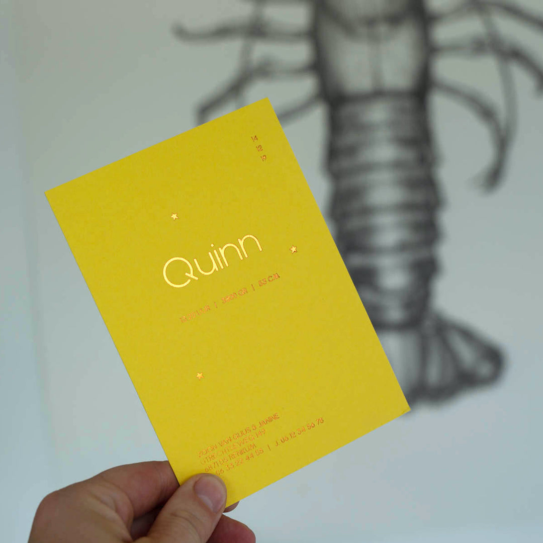 Geboortekaartje Quinn