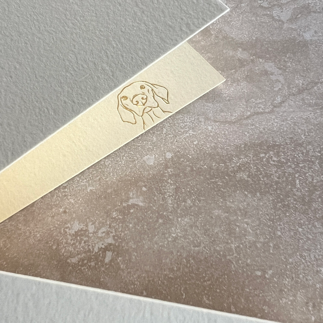 Geboortekaartje Scottie butter yellow